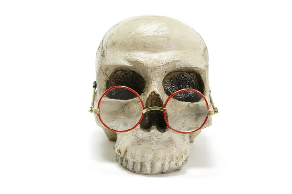 Crânio com óculos — Fotografia de Stock