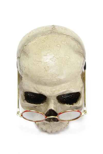 Cráneo con gafas —  Fotos de Stock