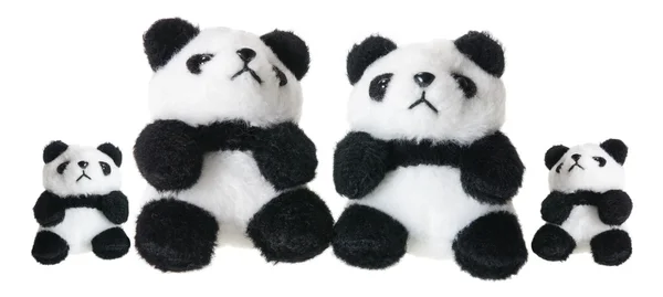 Pandas à jouets mous — Photo