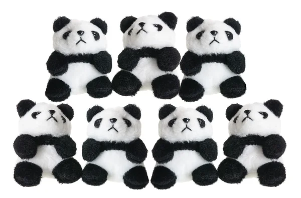 Pandas de juguete suave — Foto de Stock