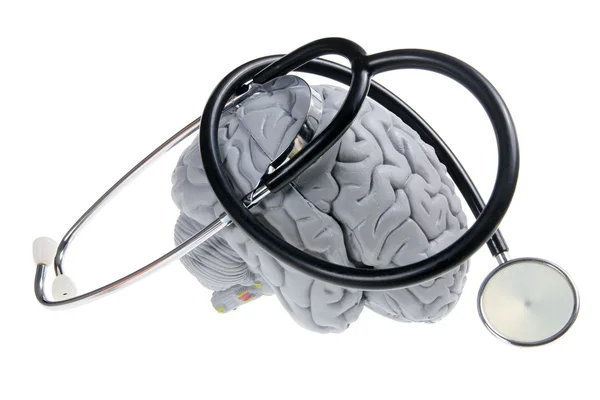 Esemplare cerebrale e stetoscopio — Foto Stock