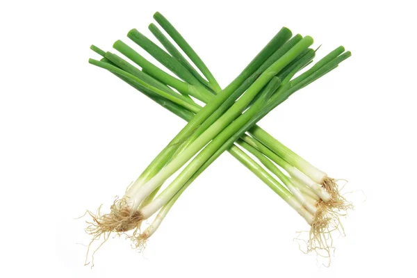 Sring Onions — Stock Photo, Image