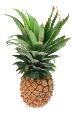 Ananas.