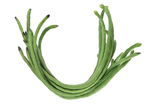 ヘビの豆 — ストック写真
