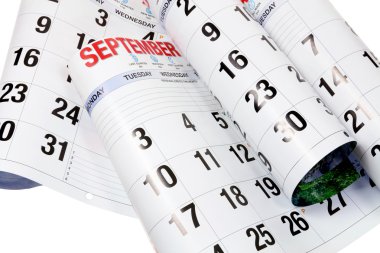 Calendar Pages clipart