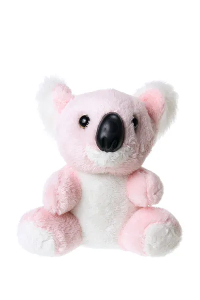 Brinquedo macio Koala — Fotografia de Stock