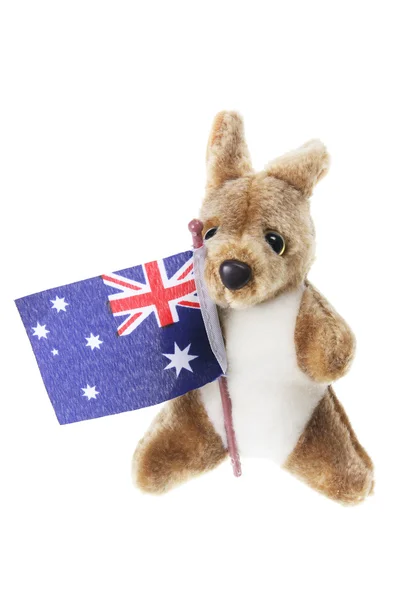 Puha játék-kenguru — Stock Fotó