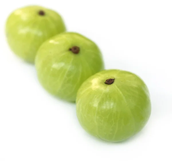 Frutta di Amla — Foto Stock