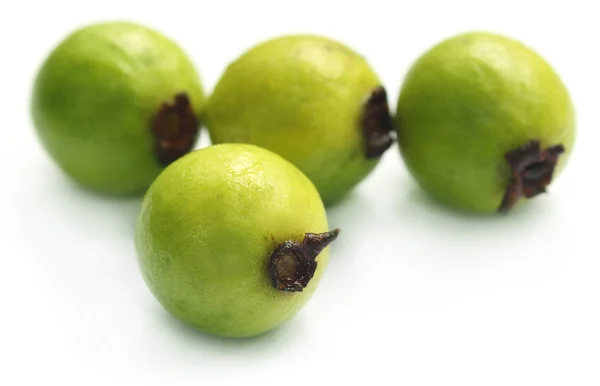 Fresh guava Stock Image