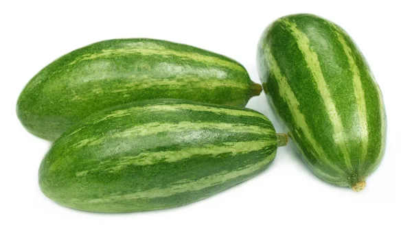 Melony, rosliny basztanowe wskazał — Zdjęcie stockowe