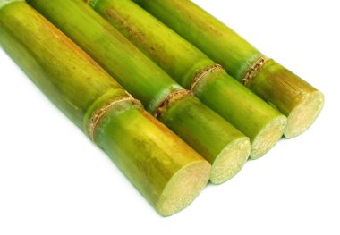 Fresh sugar cane clipart