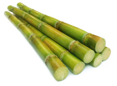 Fresh sugar cane clipart