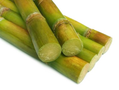 Sugar cane clipart