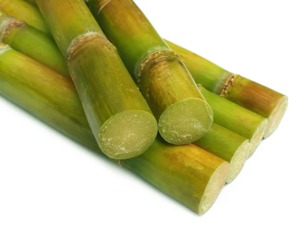 Sugar cane — Stock Photo, Image