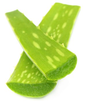 tıbbi aloe vera