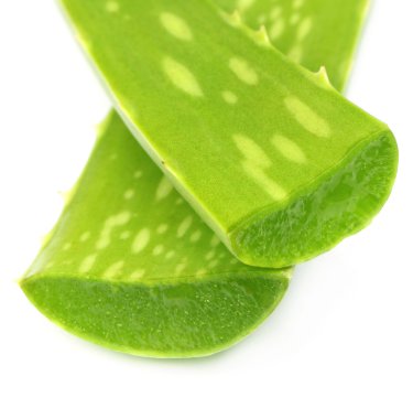 tıbbi aloe vera