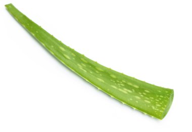 tıbbi aloe vera