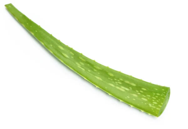 Aloe vera medicinal — Fotografia de Stock