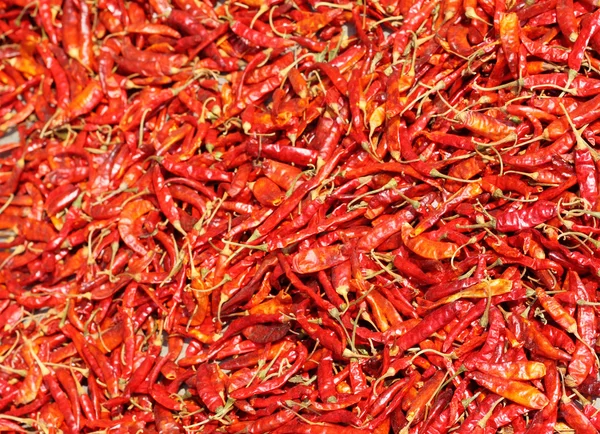 Szárított chili — Stock Fotó