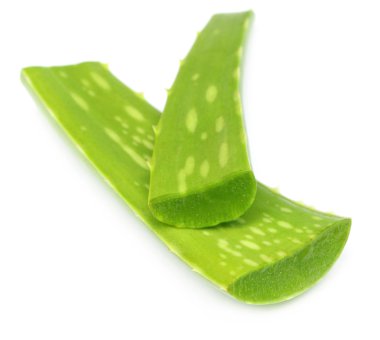 Close up of medicinal aloe vera clipart