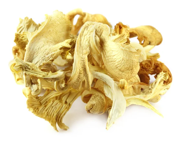 Dried oyster mushroom — Stock Photo, Image