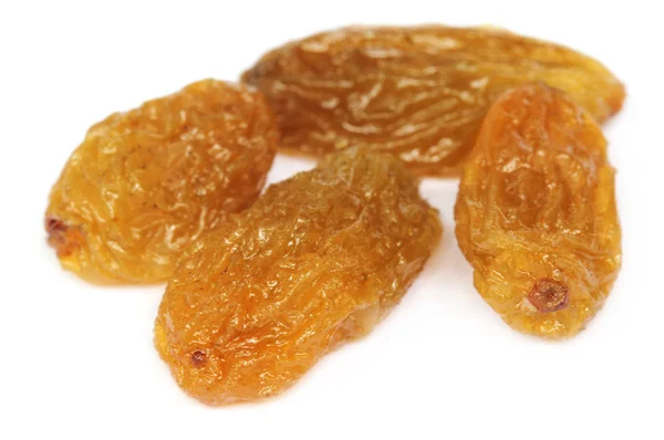 Raisin or dried grapes — Stock Photo, Image