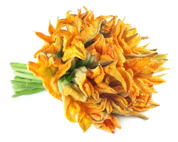 Edible pumpkin flower — Stock Photo, Image