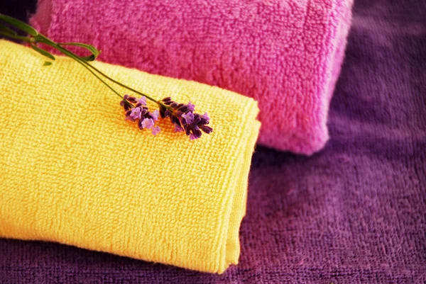 Красочные полотенца — стоковое фото