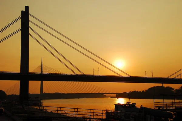Bridges in Belgrade — Stock Photo, Image