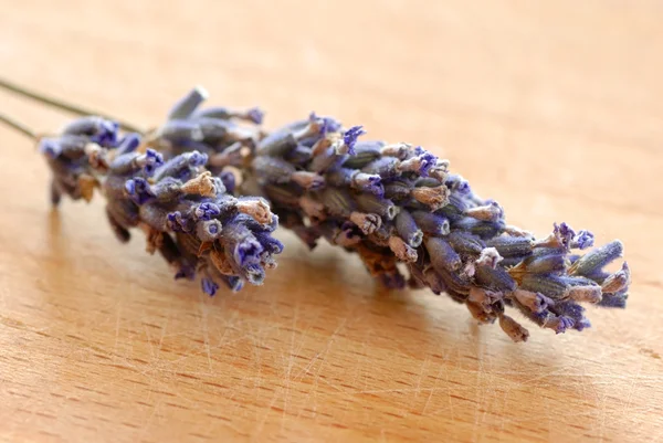 Lavender sprigs — Stock Photo, Image