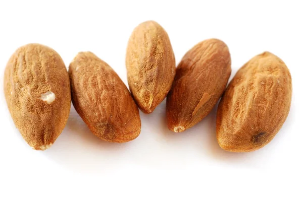 stock image Almonds