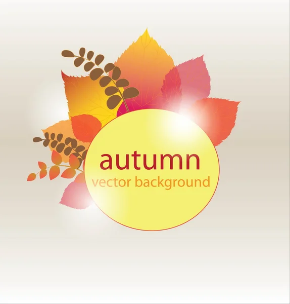 stock vector Autumn background