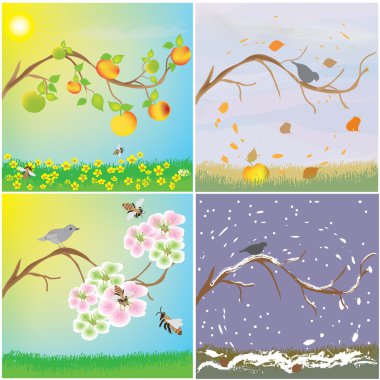 Four seasonal variation of apple tree branch clipart