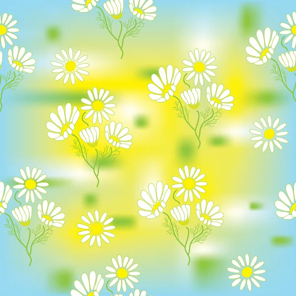 Seamless pattern with chamomile — Stock Vector