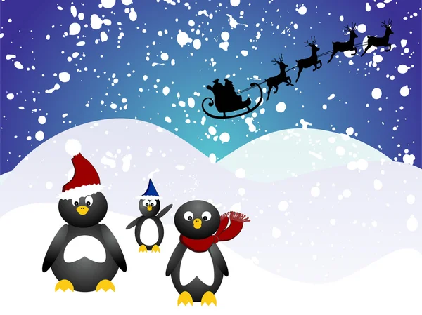 Pinguino Natale — Vettoriale Stock