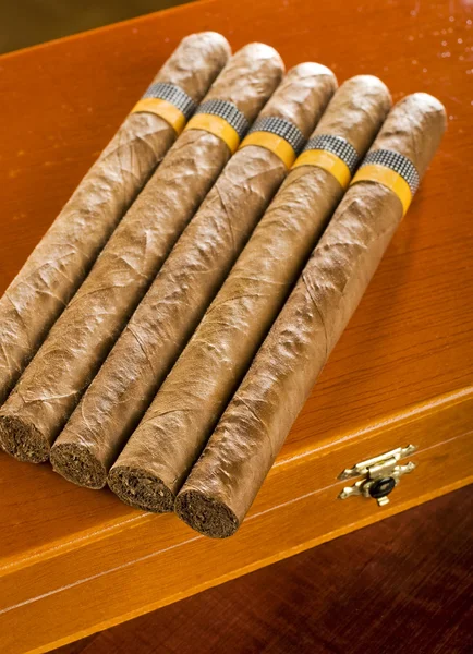 Cuban cigar — Φωτογραφία Αρχείου