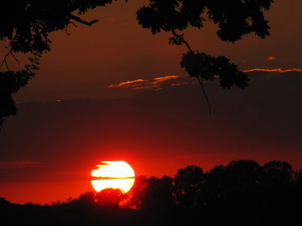 stock image Sunset