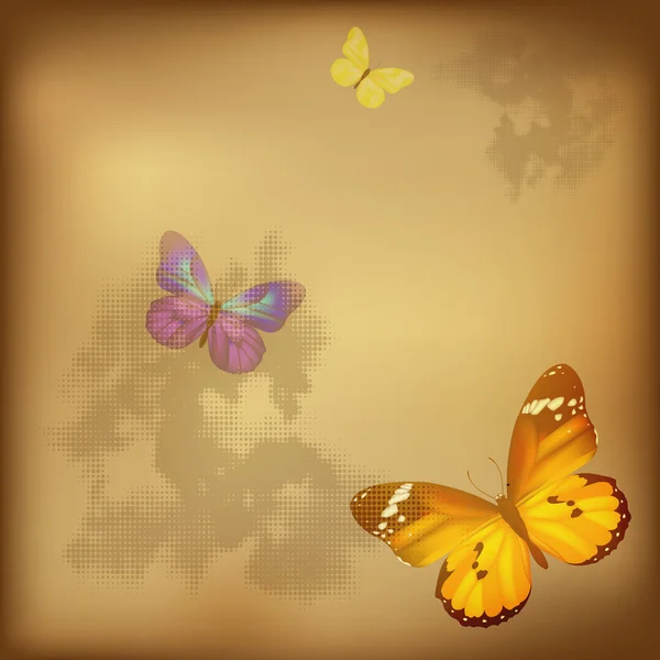 Ročník motýl — Stockový vektor