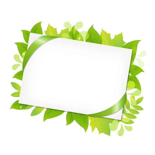 Hojas verdes y etiqueta de regalo en blanco — Vector de stock