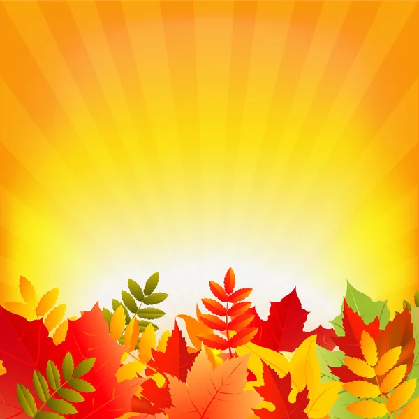 Podzimní pozadí s sunburst — Stockový vektor