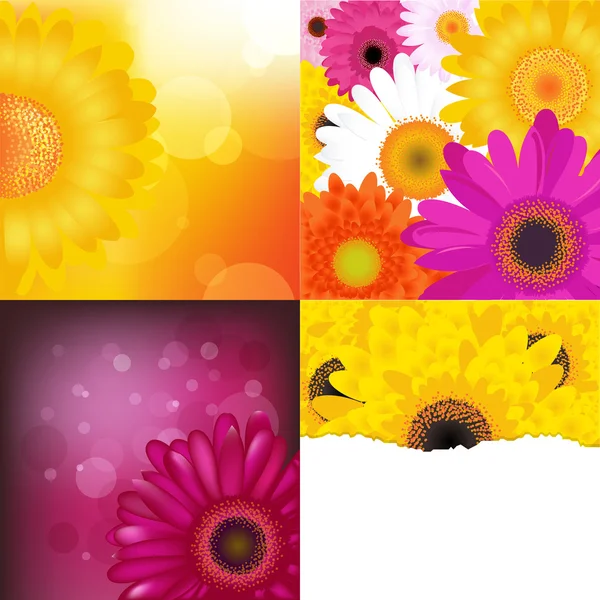 Blomma bakgrunder set — Stock vektor