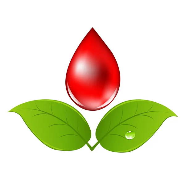 Gota de sangre con hojas — Vector de stock