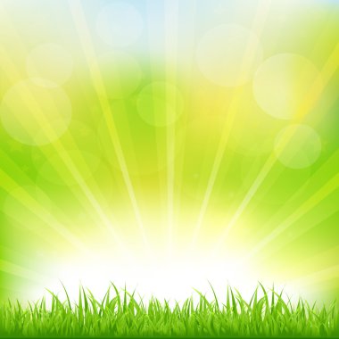 Green Background With Green Grass And Sunburst clipart