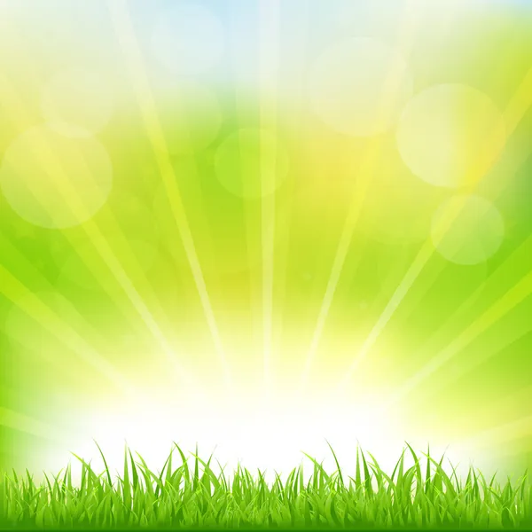 Zelené pozadí s trávou a sunburst — Stockový vektor