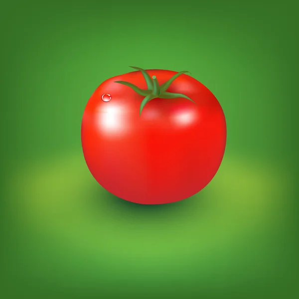 Red Tomato With Green Background — Stock Vector
