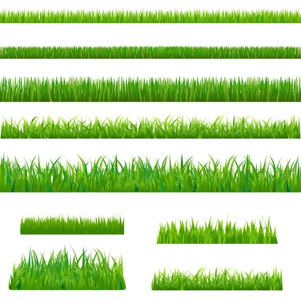 Großes grünes Gras — Stockvektor