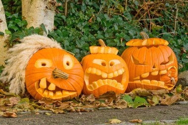 Drei Halloween Kürbisse