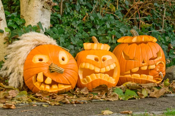 Drei Halloween Kürbisse — Stockfoto