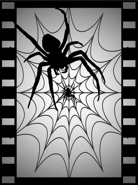 Spinne — Stok Vektör