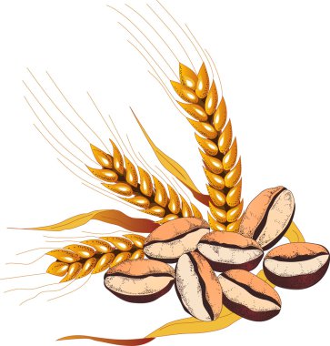 Vector illustration of coffee beans and wheat ears clipart